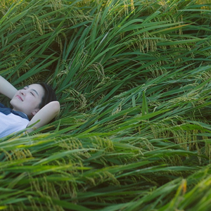 少妇与大猪ⅹⅩ
